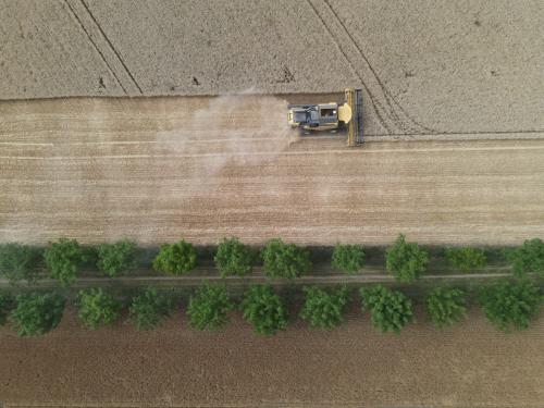 DJI_3635.JPG